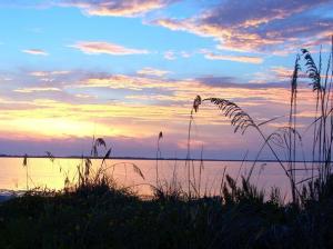 Tarpon Springs Bayou